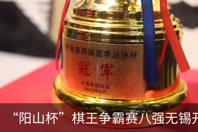 “阳山杯”棋王争霸赛八强无锡开战 丁浩等晋级半决赛